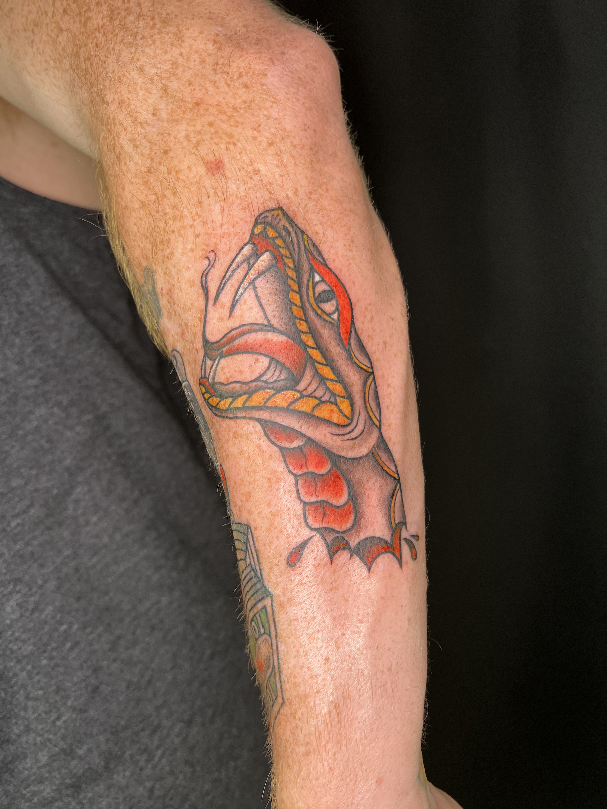 Zx3 Ink | Zx3 Ink | Garden of Eve